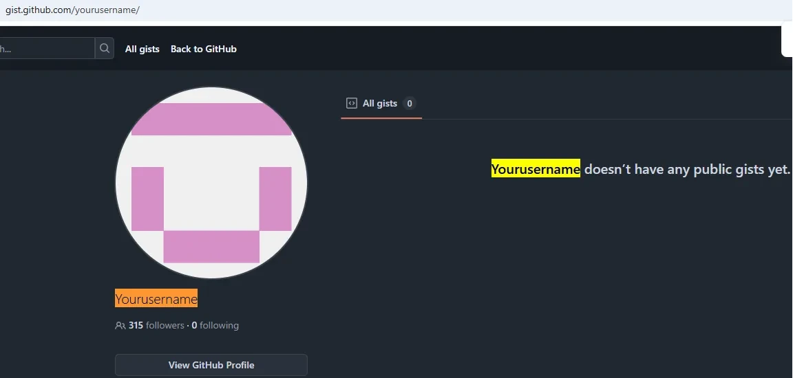 GitHub page at gist.github.com/yourusername showing a profile with 315 followers and no public gists.