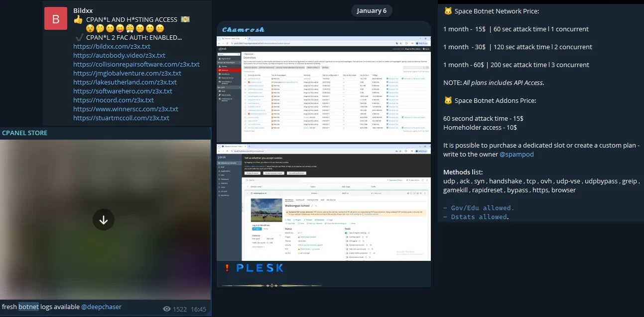 Telegram screenshots of channel posts offering cPanel and hosting access, botnet logs and Plesk panels, and a botnet price list with attack methods.